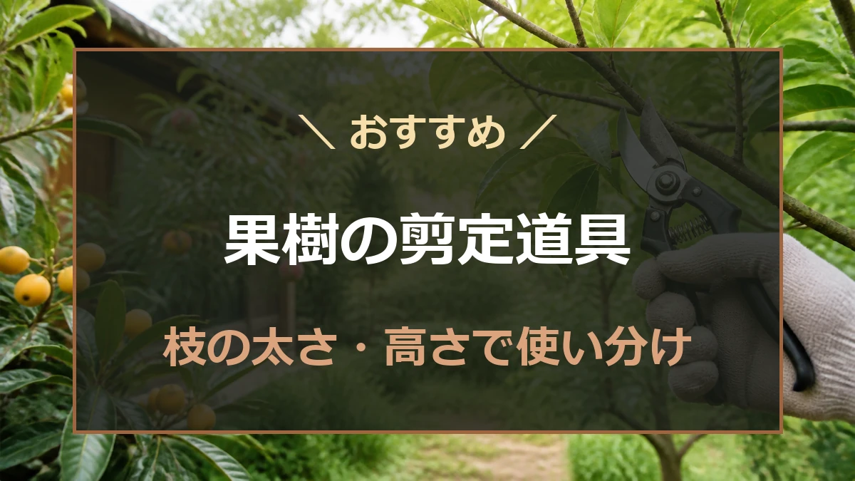 ぶどう・桃・りんご・びわの剪定で使う道具を比較する記事のアイキャッチ