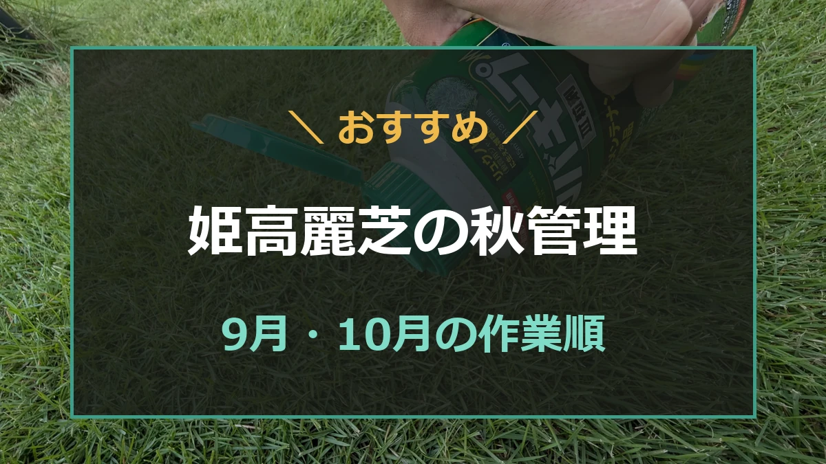 姫高麗芝の9月と10月の手入れをまとめた記事のアイキャッチ