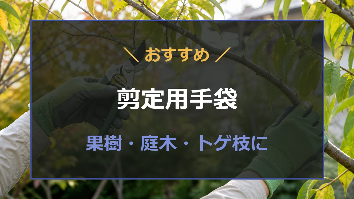 手袋を着けて果樹を剪定する様子を表した記事のアイキャッチ