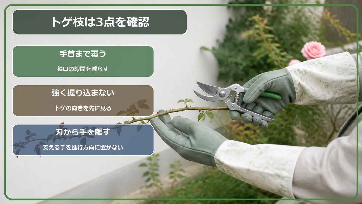 トゲ枝では手首を覆い、握り込まず、刃の進行方向へ手を置かない安全ポイント