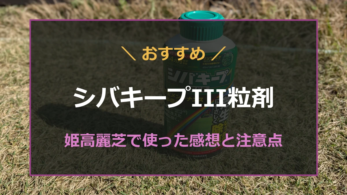 筆者所有のシバキープIII粒剤と姫高麗芝での使用レビュー
